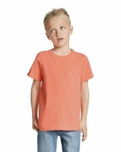 Youth Unisex Midweight RS T-Shirt -Jiffyshirts Store 105182 9018 2023C C2022 SD F 009