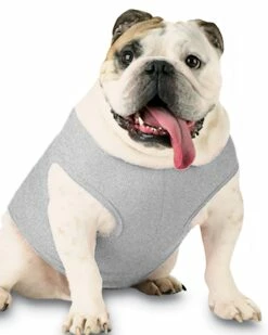 Doggie Baby Rib Tank 16 Doggie Baby Rib Tank -Jiffyshirts Store 141df174345412