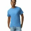 Gildan Adult Unisex Ultra Cotton® 6 Oz. T-Shirt -Jiffyshirts Store 176315 2000 659C G2023 SD F 24628