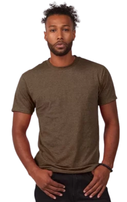 Unisex Premium Blend T-Shirt -Jiffyshirts Store 37bfa65d112496