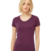 Ladies' Slim Fit Tri-Blend Tee -Jiffyshirts Store 51ce7befcb3b83